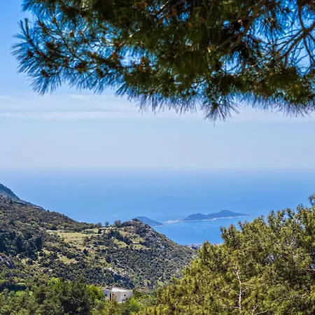 Aden * Kaş